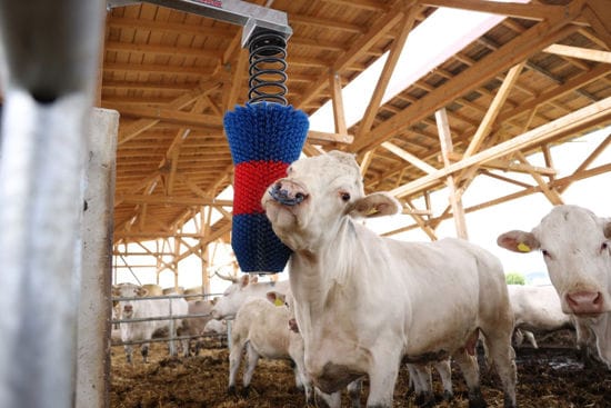 HappyCow veeborstel FlexiSwing - Afbeelding 2